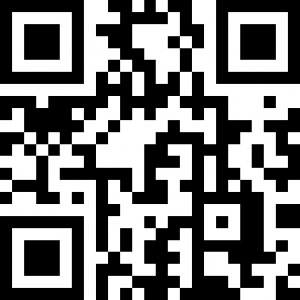 qr-code-assistenza-siti-web